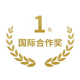 国际合作奖
